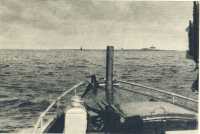 oz364306.jpg