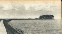 oz364308.jpg