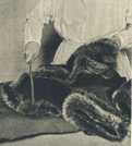 oz3643103.jpg
