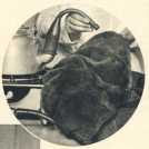 oz3643105.jpg