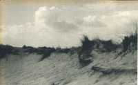 oz364346.jpg