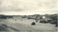 oz364349.jpg