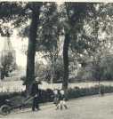oz364352.jpg