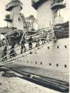 oz364380.jpg