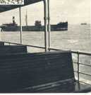 oz364384.jpg