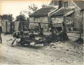 oz364437.jpg