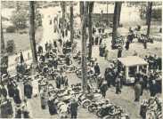 oz364449.jpg