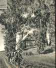 oz364507.jpg