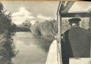 oz364509.jpg