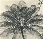 oz364513.jpg