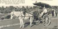 oz364515.jpg