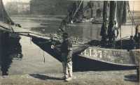 oz364524.jpg