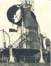 oz364526.jpg