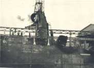 oz364530.jpg