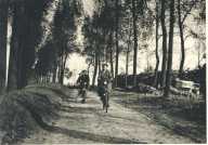 oz364540.jpg