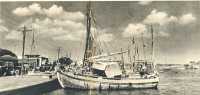 oz364567.jpg