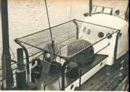 oz364607.jpg