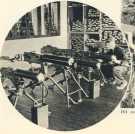 oz364619.jpg