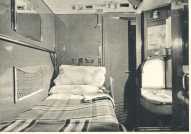 oz364625.jpg