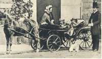 oz364674.jpg