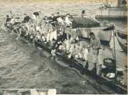 oz364736.jpg