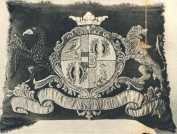 oz364755.jpg
