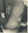 oz364758.jpg