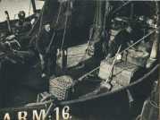 oz364818.jpg