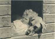 oz364820.jpg