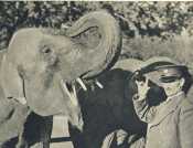 oz364822.jpg