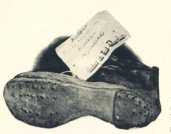 oz364904.jpg