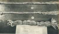 oz364906.jpg