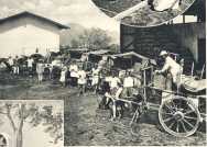 oz364920.jpg
