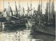 oz364938.jpg