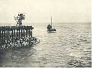 oz364941.jpg