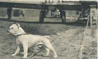 oz364951.jpg