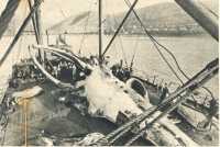oz364962.jpg