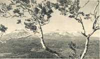 oz364963.jpg