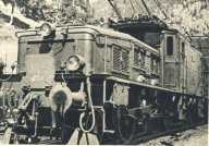 oz365016.jpg