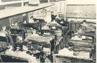 oz365022.jpg