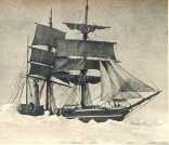 oz365235.jpg