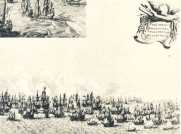 oz365352.jpg