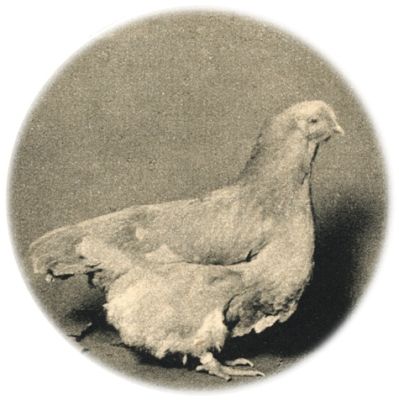 Klik voor de volgende foto