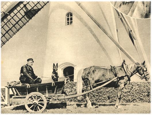 Klik voor de volgende foto
