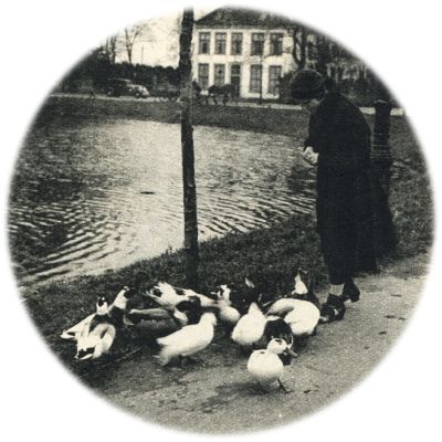 Klik voor de volgende foto