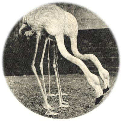 Klik voor de volgende foto