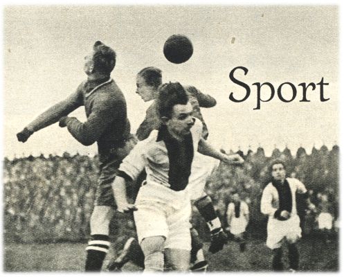 Klik voor de volgende foto