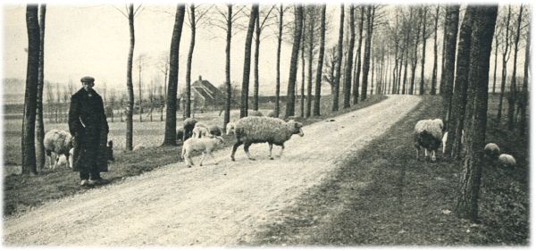 Klik voor de volgende foto
