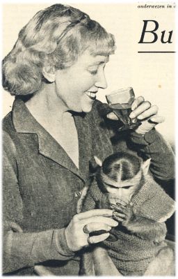 Klik voor de volgende foto