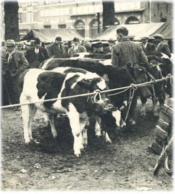 Klik voor de volgende foto